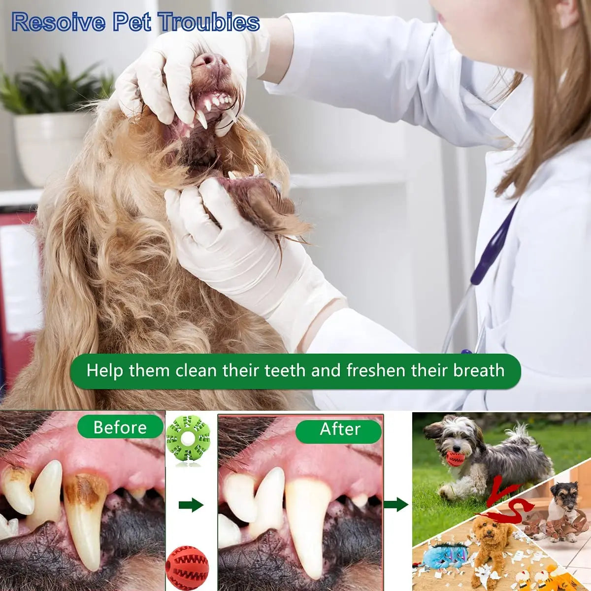 Juguete Interactivo de Caucho para Perro 