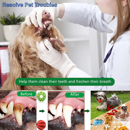 Juguete Interactivo de Caucho para Perro 