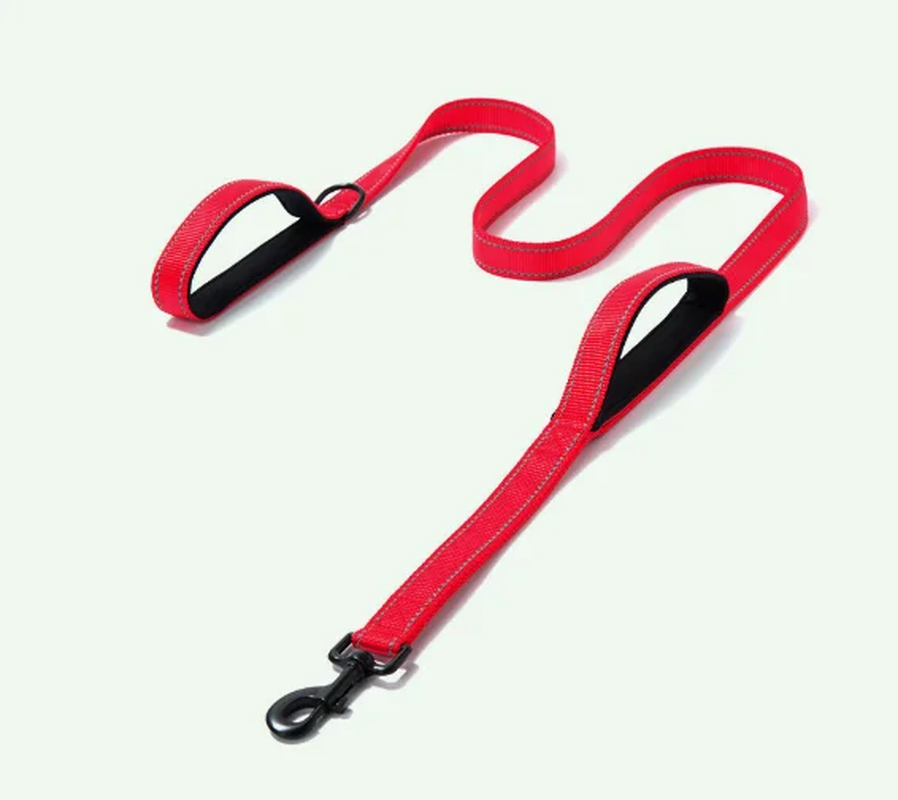 Correa de perro para exteriores-1.5m