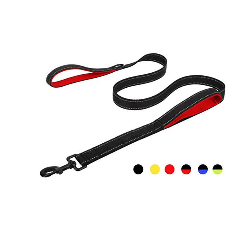 Correa de perro para exteriores-1.5m