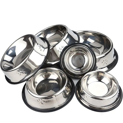 Plato para comida de mascotas